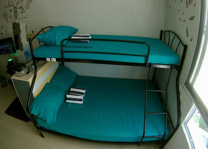 Travellers Lounge Mixed Shared Dorm *